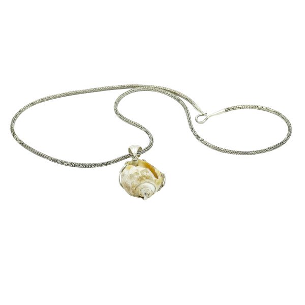 Fossilized Sea Shell Pendant